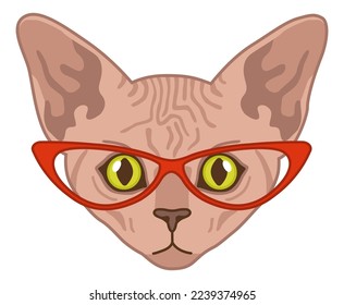 Sphynx cat head. Funny character in red glasses, domestic animal portrait, cute smart pet illustration, trendy adorable kitten sticker or design meow element, vector cartoon flat art