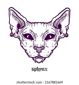sphynx cat head illustration vector