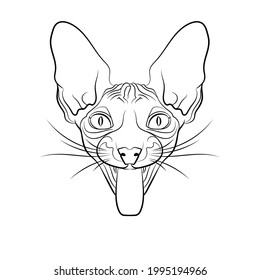 Sphynx cat head. Line drawing. Black and white illustration. Vector.