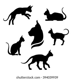 Sphynx cat icons and silhouettes. Jumping running sitting lying standing going cat. Set of vector black and white pets. Animals outlines. Tattoo art. Isolated thin kitten. Cat posing. 