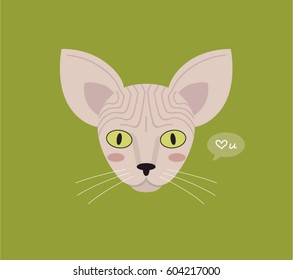 sphynx cat illustration