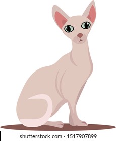 Sphynx cat, illustration, vector on white background.