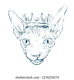Sphynx cat with a little crown. Vector illustration.