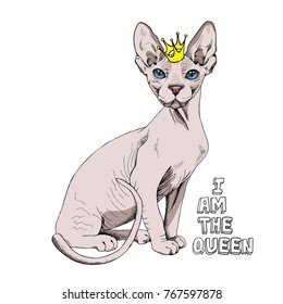 Sphynx cat with a little crown. Vector illustration.