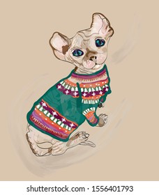 
sphynx cat on a beige background in a New Year's warm sweater