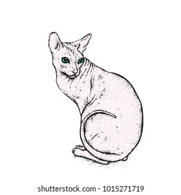 Sphynx cat painted with patterns body art. Vector illustration.