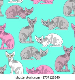 Sphynx cat pattern seamless. Pet background. Home animal texture. vector ornament