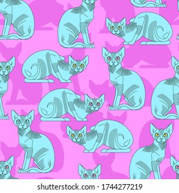 Sphynx cat pattern seamless. Pet background. Home animal texture. vector ornament