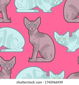 Sphynx cat pattern seamless. Pet background. Home animal texture. vector ornament