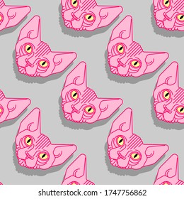 Sphynx cat pattern seamless. Pet background. Home animal texture. vector ornament