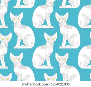 Patrón de gato de Sfinx sin fisuras. Fondo de mascotas. Textura de animales domésticos. ornamento vectorial