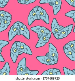 Sphynx cat pattern seamless. Pet background. Home animal texture. vector ornament