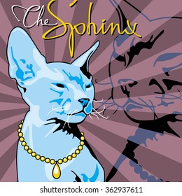 Sphynx cat portrait