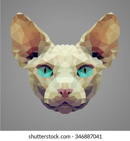 Sphynx cat portrait. Low poly design. Abstract polygonal illustration.