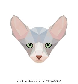 Sphynx cat portrait in low poly style. Cat breeds vector illustration isolated on white background.