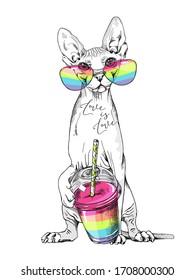 Sphynx cat in a rainbow glasses with Smoothie cocktail. T-shirt composition, hand drawn style print. Vector illustration.