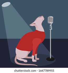Sphynx cat in red clothes singing on stage into a microphone in the spotlight. Anthropomorphic animal realistic flat vector illustration. 
