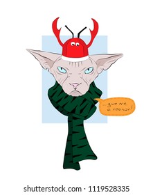 Sphynx cat in a scarf, with funny cap. Vector illustration. T shirt design.