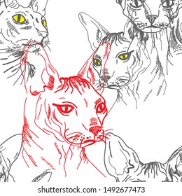 
Sphynx cat seamless pattern. Stylish print. Multi-colored drawing.