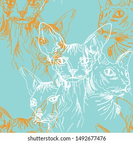 
Sphynx cat seamless pattern. Stylish print. Multi-colored drawing.