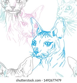 
Sphynx cat seamless pattern. Stylish print. Multi-colored drawing.