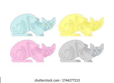 Sphynx cat set. hairless cat breeds. Pet vector illustration