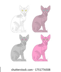 Sphynx cat set. hairless cat breeds. Pet vector illustration