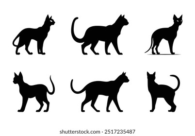 Paquete de Clipart de la silueta del gato de Sphynx, juego de Vector de siluetas de gato egipcio