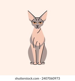 Sphynx cat sitting color element. Cartoon cute animal. Hand draw vector illustration isolated.  
