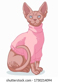 Sphynx cat sitting, dressed in a warm jacket