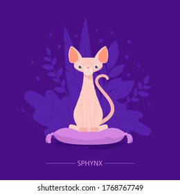 Sphynx cat sitting on a pillow, behind the plant. Thoroughbred instance. Cat show. Hypoallergenic cat without hair. Rare breed.