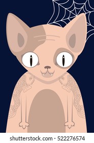 Sphynx cat with tattoos in Vila fish on a dark background with spider webs. Bald cat