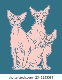 Sphynx Cat Tres Gatos Sentados