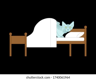 Gato Sfinx cubierto en la cama. Ilustración vectorial de mascotas
