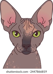 Sphynx cat vector cartoon style portrait