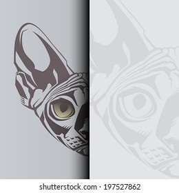 Sphynx cat. Vector illustration