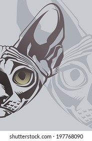 Sphynx cat. Vector illustration