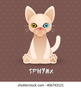 Sphynx Cat : Vector Illustration