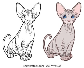 Sphynx cat. Vector illustration. Tattoo style.Pet Shop label, signboard for your business.