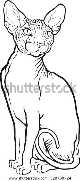 Sphynx Cat Vector Illustration Tattoo Style Image Vectorielle De Stock Libre De Droits