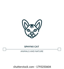 icono de la línea vectorial del gato sphynx. Ilustración de elemento simple. icono de contorno de gatos de espinx del concepto de cuerpos de razas de gatos. Se puede usar para web y móvil
