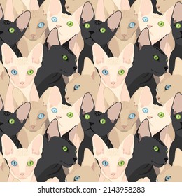 Sphynx cats are black and white, dark and light in color with blue and green eyes. Print, seamless pattern, vector illustration