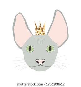 Sphynx grey cat face with colden crown, mustache and eyebrows on a white background. Pet head vector illustration. Fashion background for wrapping paper, textile, kids.