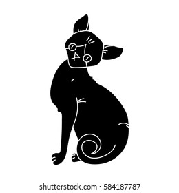 Sphynx icon in black style isolated on white background. Cat breeds symbol stock vector illustration.