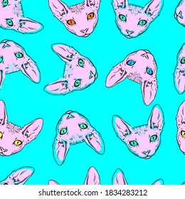 sphynx pink cat seamless pattern. Good for textile, wrapping, wallpapers, etc. Sweet cat isolated on background. Vector illustration.