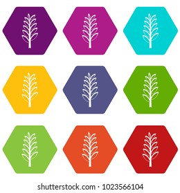  Spica icon set many color hexahedron isolated on white vector illustration