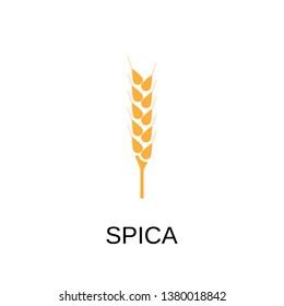 Spica icon. Spica symbol design. Stock - Vector illustration can be used for web