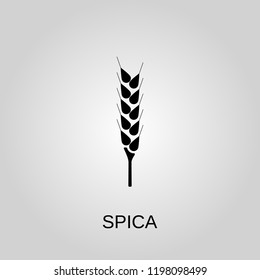 Spica icon. Spica symbol. Flat design. Stock - Vector illustration.