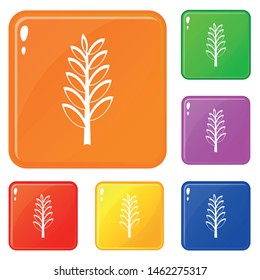 Spica icons set collection vector 6 color isolated on white background