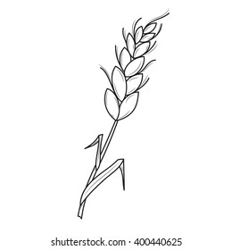 spica on white background. vector illustration